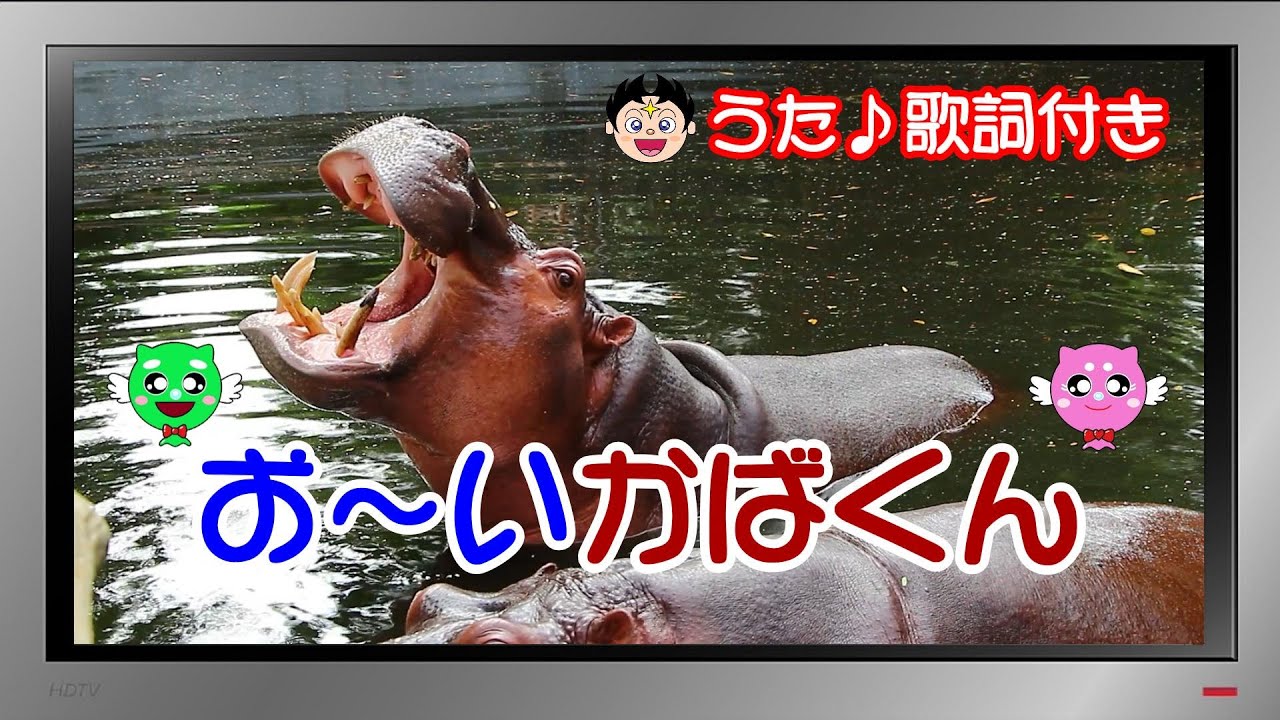 ガッキーと瑛太くんが投げてくれたピンポン玉♥️とサイン 【公式通販】