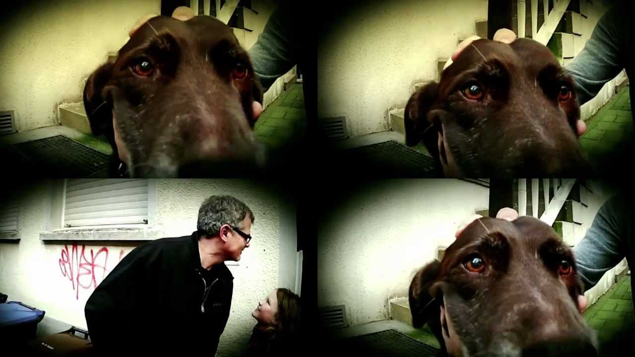 ⁣H-Blockx - Can't Get Enough (Kopfnicker-Community-Video)