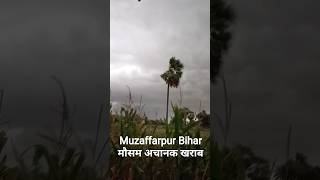🚧 BREAKING NEWS 🚧 मुजफ्फरपुर में तेज आंधी-बारिश से हालात बेकाबू#muzaffarpur #bihar #groundreport