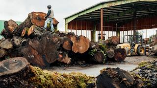 On Site with Goby Walnut: Upcycling Dying Trees into Heirloom Lumber