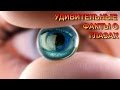 УДИВИТЕЛЬНЫЕ ФАКТЫ О ГЛАЗАХ/AMAZING FACTS ABOUT EYES