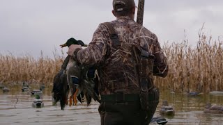 Hunting at HOME. Fred's Duck Camp in Ohio.