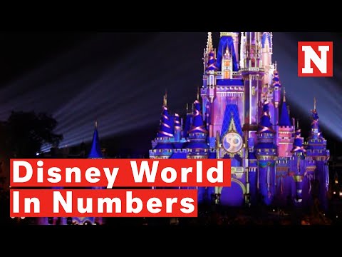 Video: Jul i Disney World by the Numbers