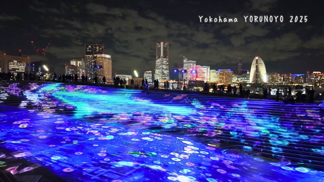 【4K横浜】ヨルノヨ2025『ハイライトオブヨコハマ × クジランド × ブライトガーデン』｜Yorunoyo 2025