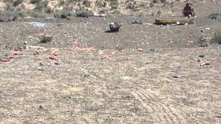 Rimfire Tannerite