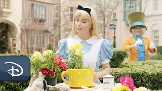 An Alice In Wonderland Zany Gardening Tutorial Walt Disney World