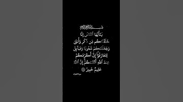 سورة الحجرات || @rachidmeteo14