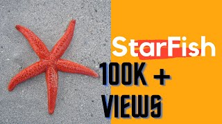 Starfish for Kids - Starfish Types flash cards