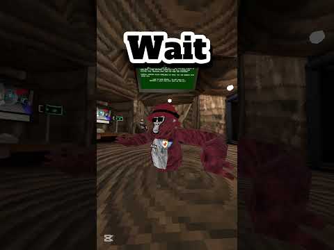 Time Wait #gorillatag #vr #gorillatagquest #gtag #viral