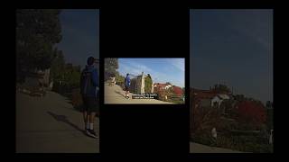 Famous Amazon driver vs. bear! Wealth