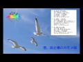 港、波止場のカモメ唄
