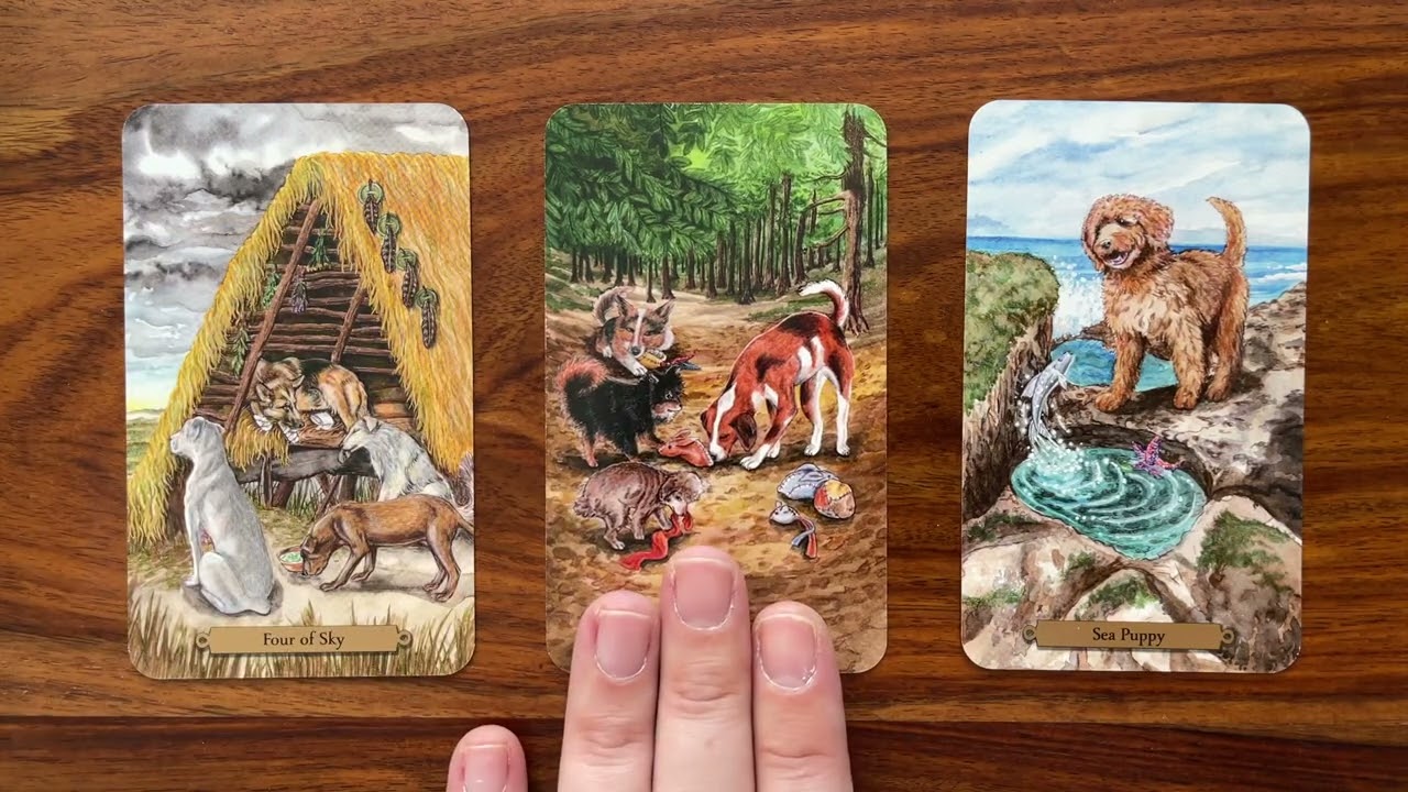 Let others help you 7 October 2022 Your Daily Tarot Reading with Gregory Scott