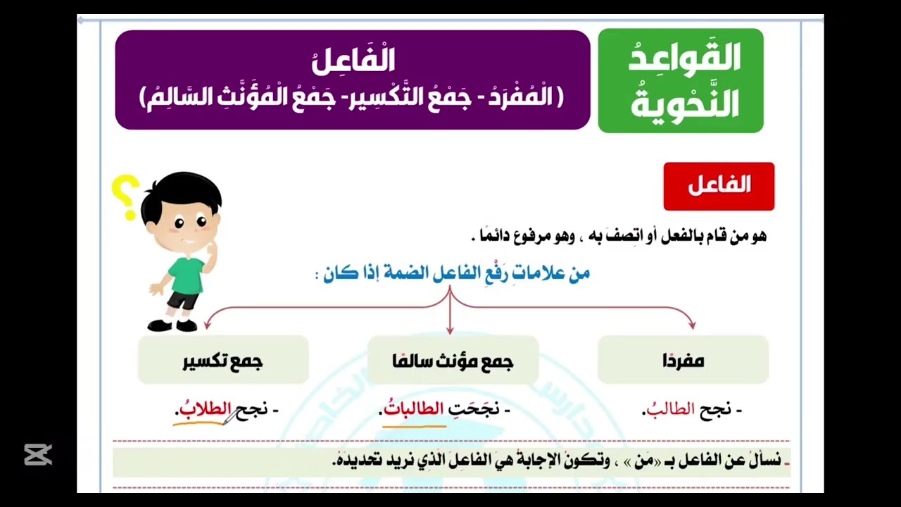 00013لغة عربية 4ب