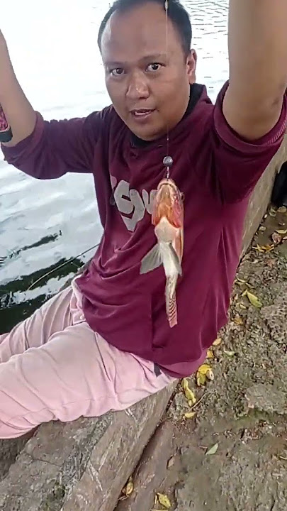 akhirnya strike juga  #mamcingliar #mancing #mancingmania #mancingnila #nilababon
