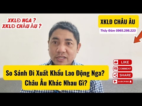 14 Công Ty Xuất Khẩu Lao Động Hàng Đầu Gia Lai: Cẩm Nang Lựa Chọn Chi Tiết Từ A-Z