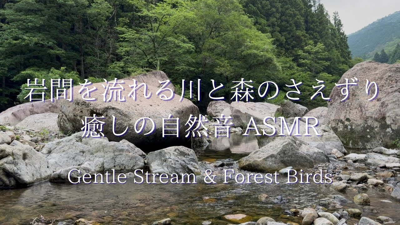 岩間を流れる川と森のさえずり|癒しの自然音 ASMR / Gentle Stream & Forest Birds【4K】 - YouTube