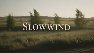2 Hours Calm Music for Deep Rest – Slowwind