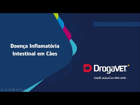 Vídeo: Dog IBD: Guia Completo Para Doenças Do Intestino Irritável Em Cães