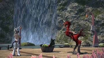 Final Fantasy XIV: Chocobo Training