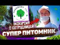 С экскурсией по питомнику мечты