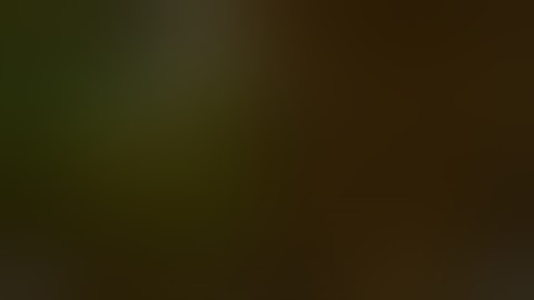 Dupear en mu online 97d