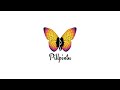 PILLPINTU Welcome to Bolivia for the World❤️💛💚
