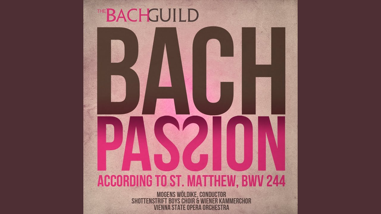 Aria (Bass) : Mache dich, mein Herze, rein