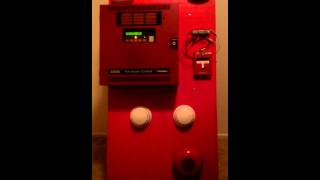 Simplex "mini system" test 1 Net Worth