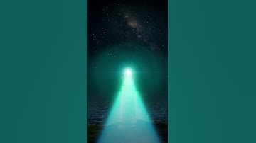 💡 모든 여정의 시작, 네이버지도 (등대 편)