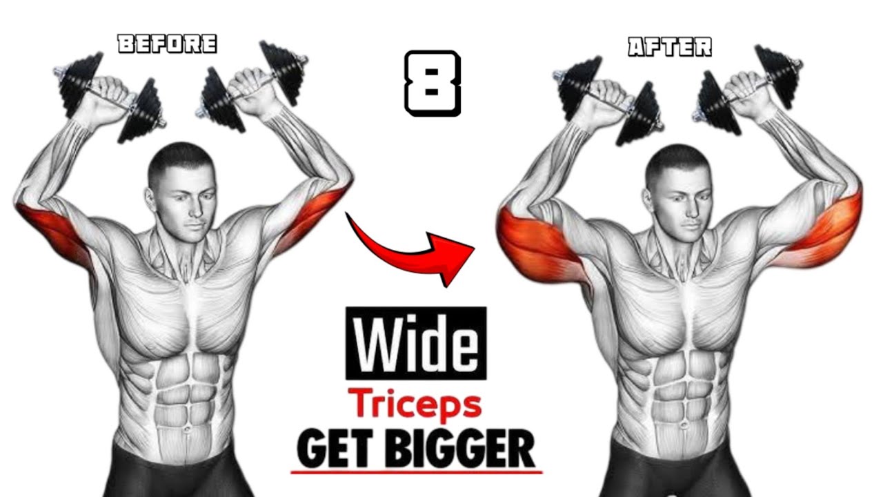 8 Effective workout Get Big Triceps | Triceps Exercises Get Bigger 🎯 ...