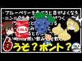 【ゆっくり解説】噂のほとんどが嘘！？食べ物のうそ・ホント6選