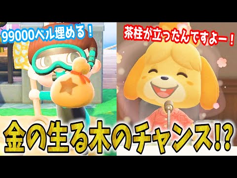 あつまれ どうぶつの森　はるです。 Animal Crossing] 22 carefully selected islands you should