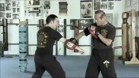 Ping Choi Gua Choi series by Guro Dan Inosanto and Sifu Nino Pilla