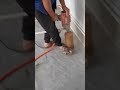 machine base for drilling concrete floors #shorts