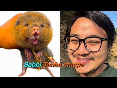 Sabbi tanba chatpa