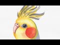 Cockatiels....