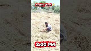 Expectation vs Reality – Farming Edition 🌾🤣#FunnyVideo #Shorts #FarmerLife #WheatHarvest #Relatable