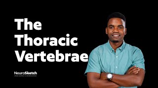 Thoracic Spine Anatomy | Understand anatomy of the thoracic vertebrae