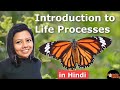 Life Processes Class 10 Science Biology