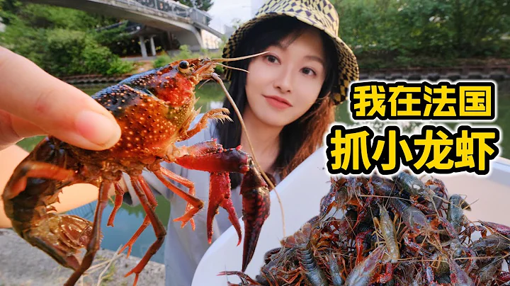 在法国抓小龙虾，轻松捕100只，做麻辣小龙虾香辣鲜美 | 赶海 | 户外 | 美食 | 法国 | 农村 | 打野 | - 天天要闻