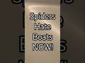 T'sillan BDG Spider-free gelcoat lotion