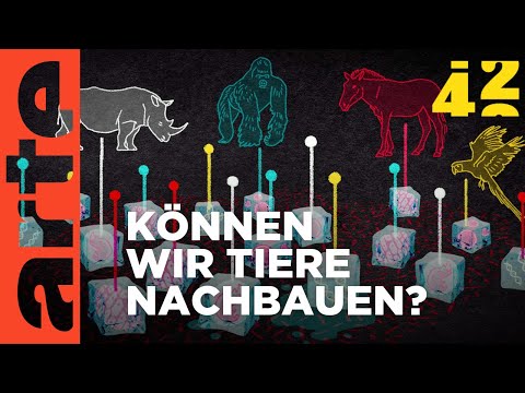 Video: Ölskulpturen