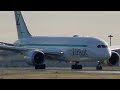 ✈[HD] JAL100%出資の新LCC ZIPAIR B787 JA822J KIXから慣熟飛行訓練戻り(成田空港)