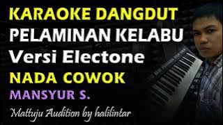 Karaoke Dangdut Pelaminan Kelabu || Nada Cowok || Versi Electone