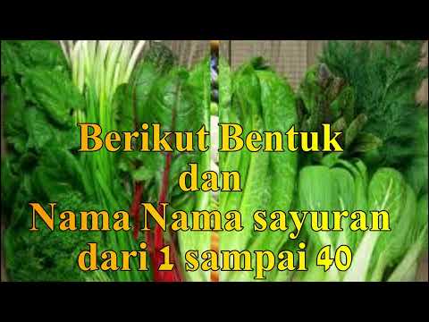 Sayur Nama Nama Sayur