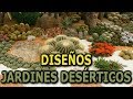 Diseños de jardines desérticos (Plantas desérticas) || Info Garden