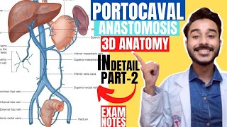 portocaval anastomosis anatomy 3d | portosystemic communications anatomy | portal vein anastomosis