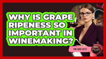 Why Is Grape Ripeness So Important In Winemaking? - Fine Wine Facts