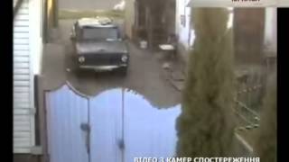 Свора собак породы алабай нападает на людей в Черкассах - Чрезвычайные новости, 15.04 Свора собак породы алабай нападает на людей в Черкассах - Чрезвычайные новости, 15.04