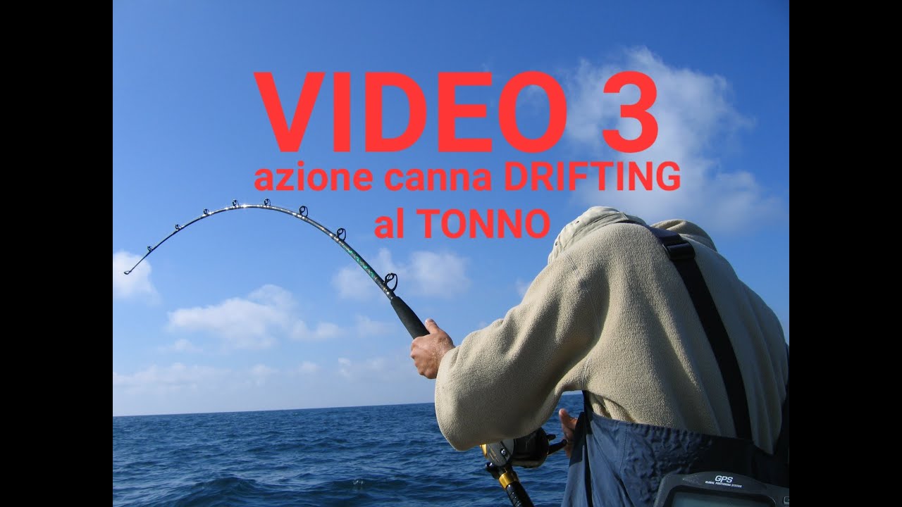 Canna Da Traina Pentium 20Lbs - Carbonio Alto Modulo Per Tonno E Pesce Spada